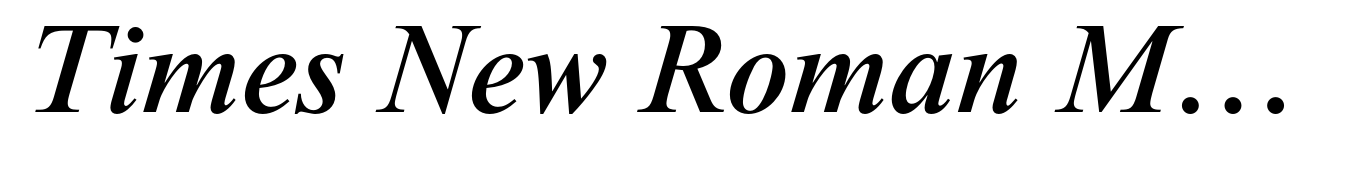 Times New Roman Medium Italic